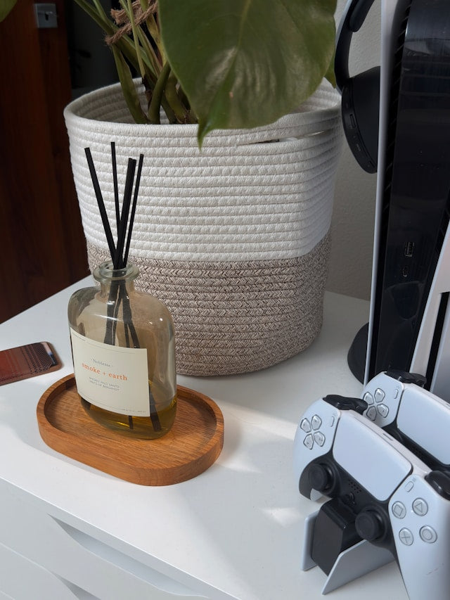 Eucalyptus and Moss Reed Diffusers: How to Style Green, Woody, and Fresh Fragrance Notes
