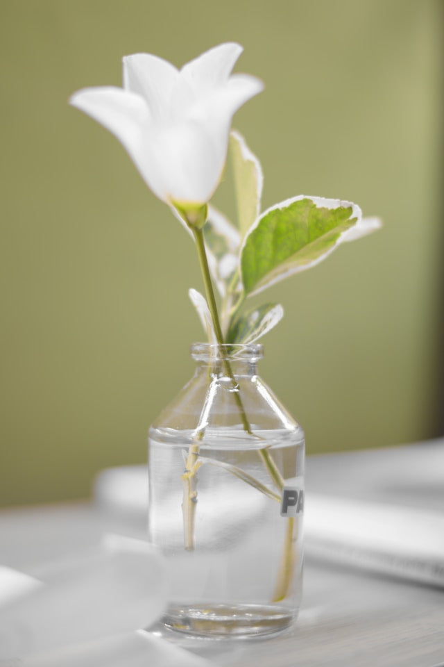 Sandalwood Rose Reed Diffusers: How to Balance Warm Wood and Floral Fragrance