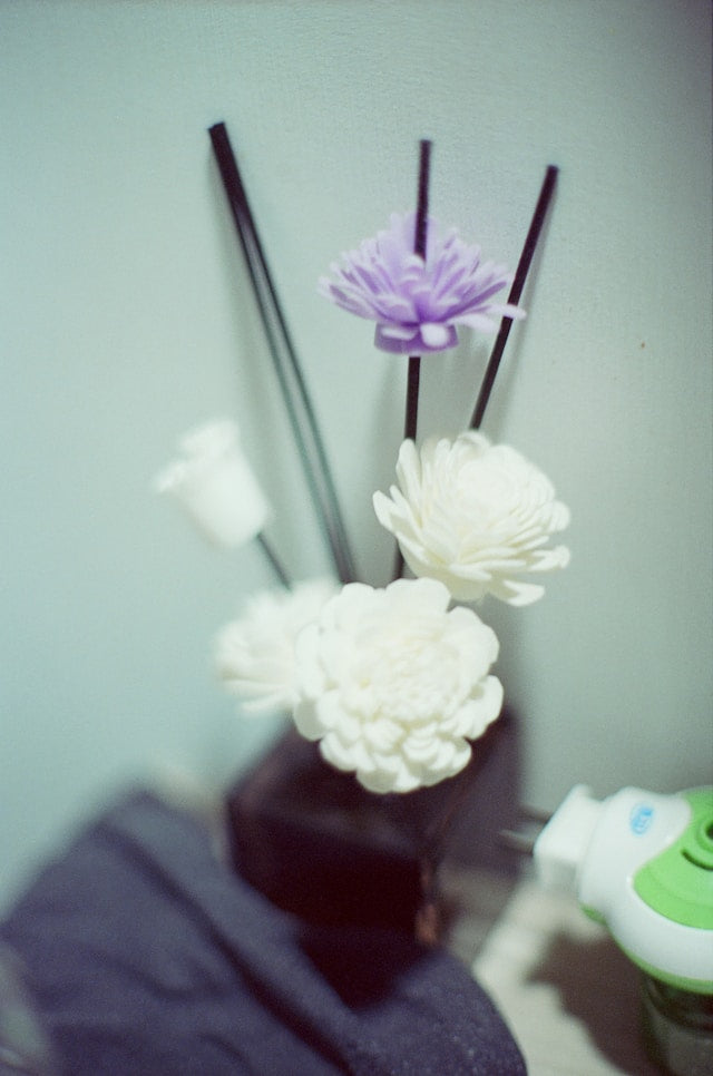 Flower Reed Diffuser Sets: Comparing Artificial Flowers, Preserved Baby’s Breath, and Cotton Sticks