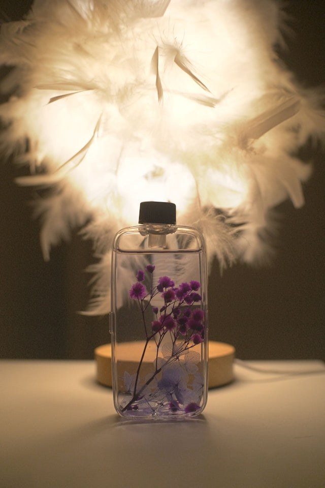 Warm and Gourmand Reed Diffusers: Vanilla, Coffee, Chocolate, Coconut, and Pumpkin Scent Guide