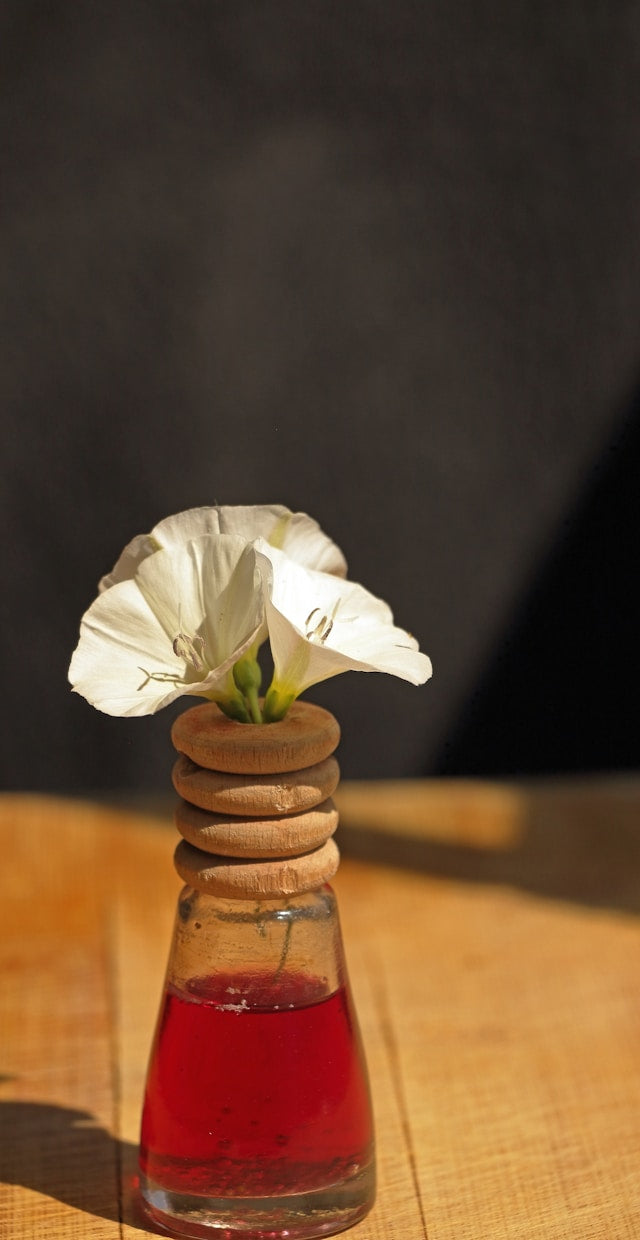 Sweet Orange and Cedar Reed Diffusers: Balancing Citrus and Wood Notes at Home