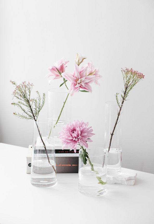 Black Forest Reed Diffusers: Choosing a Dark, Woody, and Decorative Home Scent
