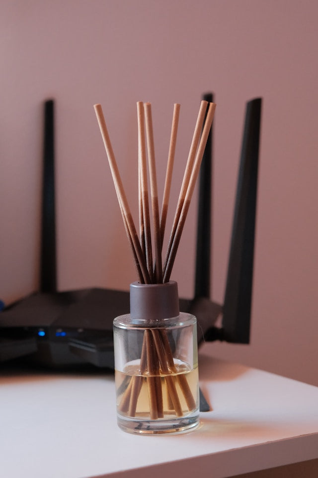 Maine Winter Balsam Reed Diffusers: How to Use Evergreen-Inspired Fragrance in Seasonal Rooms