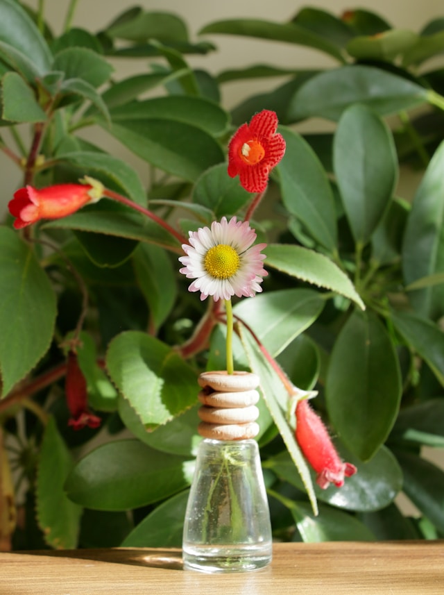 When Should You Replace Reed Diffuser Sticks? Signs, Timing, and Maintenance Tips