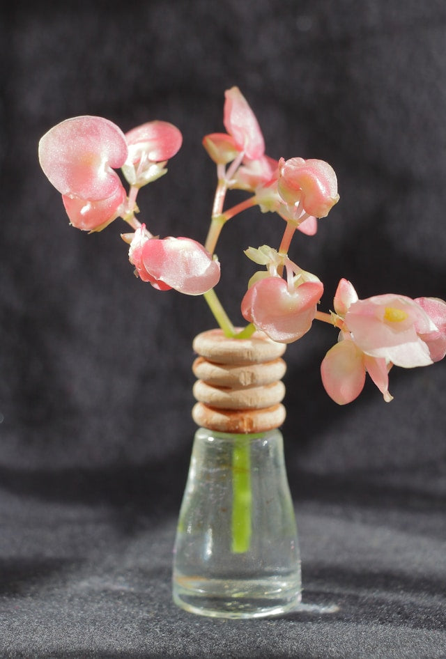How to Store Unopened Reed Diffusers and Fragrance Oil Refills