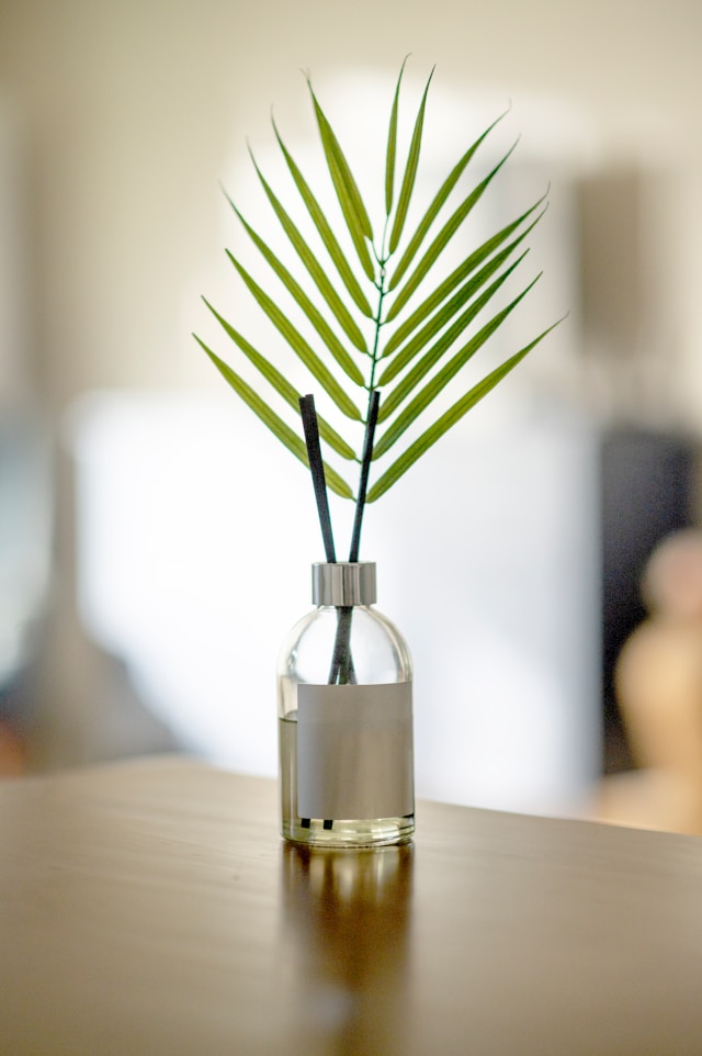 One-Pack vs Two-Pack Reed Diffusers: Choosing Sets for Multiple Rooms and Gift Giving