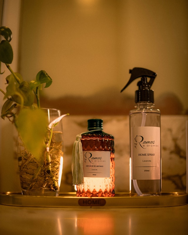 Reed Diffuser Placement Guide: Bathrooms, Bedrooms, Living Rooms, Offices, and Entryways