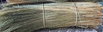 Craft Broom Corn with Stalks 2 Pound Bundle 24-36" Length