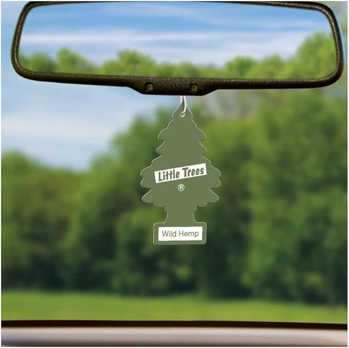 Little Trees Car Air Freshener | Hanging Paper Tree for Home or Car | Wild Hemp | 1 Pack