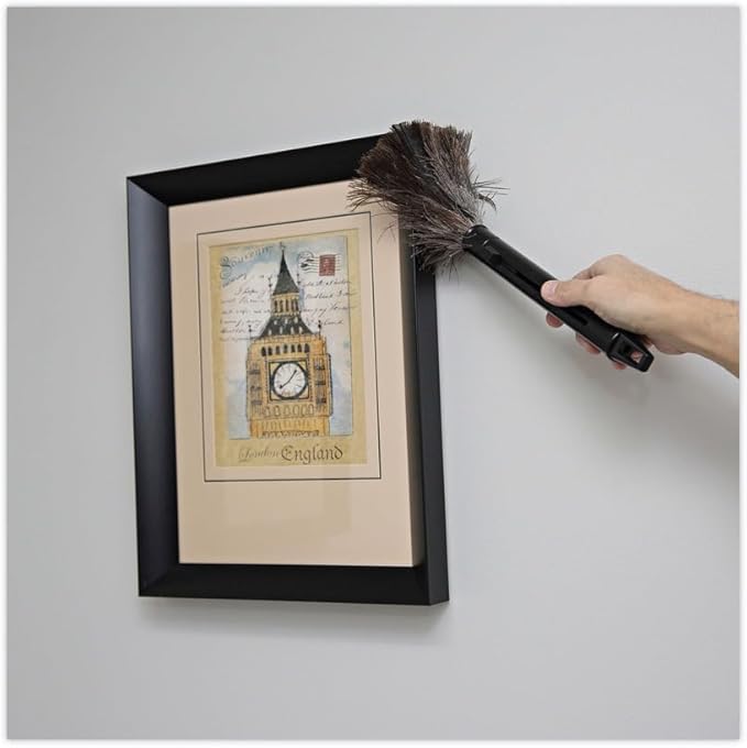 Boardwalk BWK914FD 9 in. to 14 in. Retractable Plastic Handle Feather Duster - Black