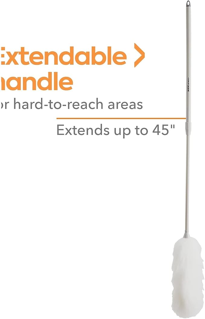 Professional Extendable Lamb Wool Duster, Gray