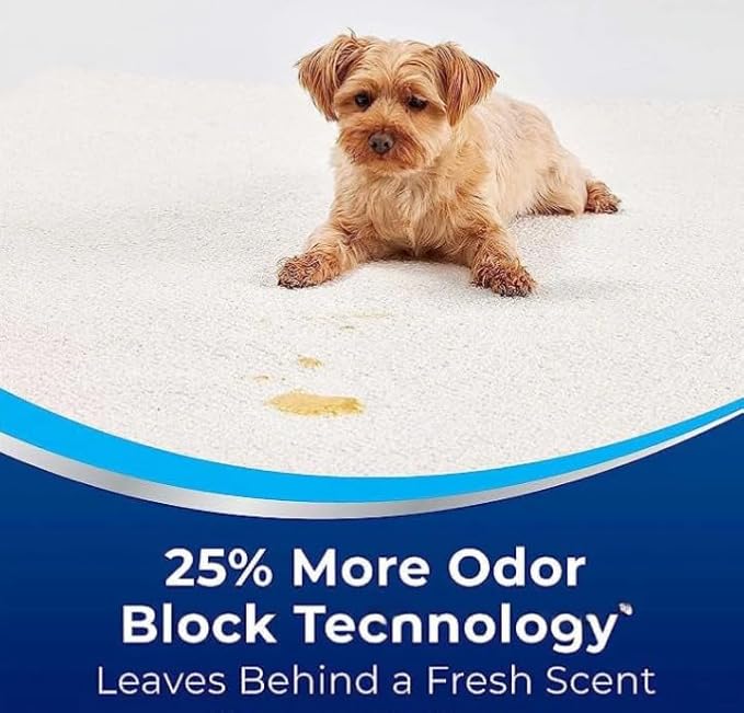 Woo-lite Carpet and Upholstery Foam Cleaner with Built-in Brush, Triple Action Stainlift Technology for Stairs, Fabrics, Pet Odors (2 Pack)
