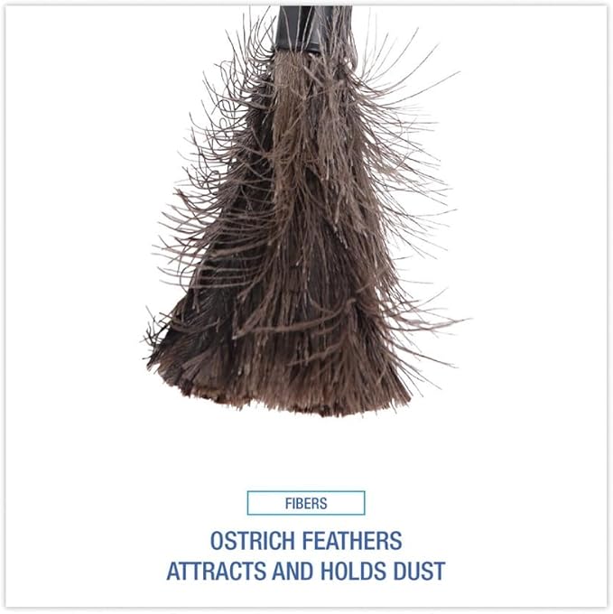 Boardwalk BWK914FD 9 in. to 14 in. Retractable Plastic Handle Feather Duster - Black