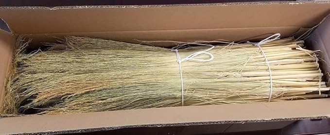 Craft Broom Corn with Stalks 2 Pound Bundle 24-36" Length