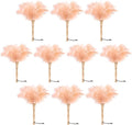 Ostrich Feather Duster 12 Inch Handheld Duster Supplies, Wooden Handle Feather Duster for Cleaning Keyboard Home Car Office (Champagne 10Pcs)