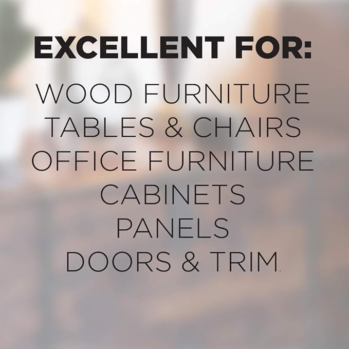 WOOD FURNITUREWIPE 30CT