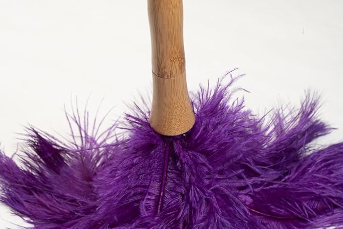AVIAN COLOR FEATHER DUSTER. (Purple)