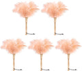 Ostrich Feather Duster 12 Inch Handheld Duster Supplies, Wooden Handle Feather Duster for Cleaning Keyboard Home Car Office (Champagne 5Pcs)