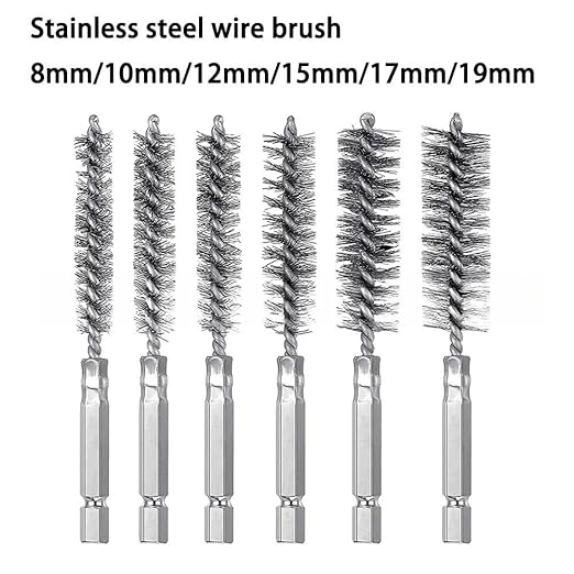 6PCS Stainless Steel Bore Brush Set with 1/4" Hex Shank,Twisted Drill Wire Bore Brush Set, Abrasive Wire Bore Brush for Power Drill,Different Sizes (8, 10, 12, 15, 17,19mm) for Rust and Tube Cleaning