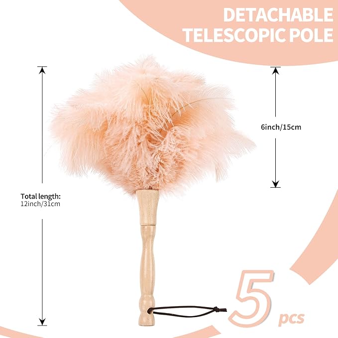 Ostrich Feather Duster 12 Inch Handheld Duster Supplies, Wooden Handle Feather Duster for Cleaning Keyboard Home Car Office (Champagne 5Pcs)