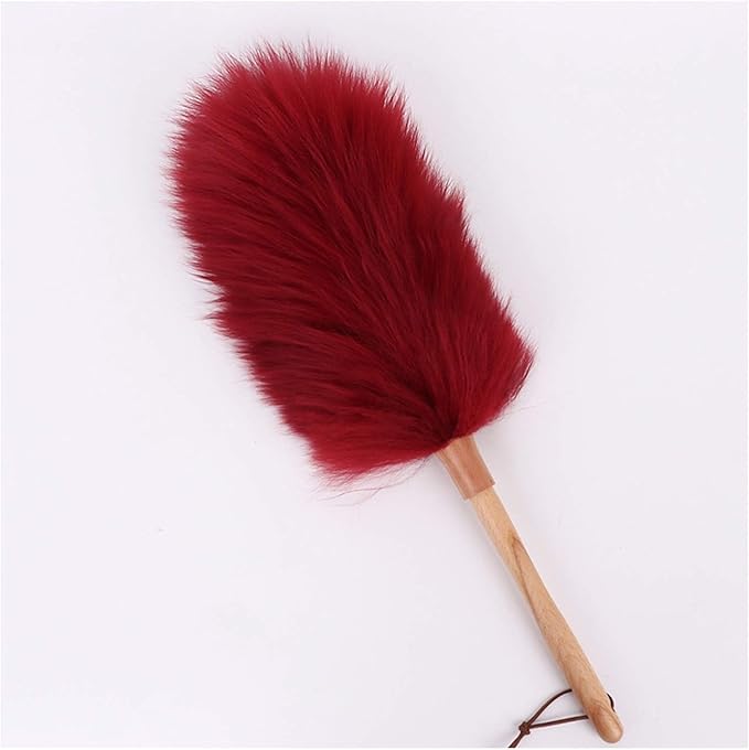 Pure Lambs Wool Duster with Wood Handle, Fluffy Lambswool Duster, Thicken Encryption, Anti-Static, Duster for Home, Office and Car, 19.3 inch(C)