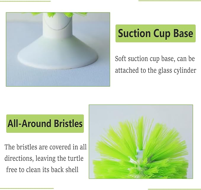 Turtle Scrub Brush, Turtle Scratches Back Brush Turtle Shell Clean Brush with Suction Cup Turtle Exfoliate Brush Tank Tortoise Brush for Remove Turtle Shell Scutes Mud Dirt