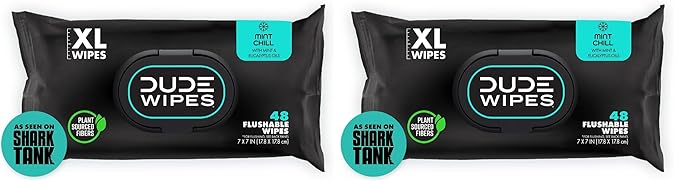 DUDE Wipes, 48 Wipes, 2 Pack | Flushable | Mint Chill | Extra-Large | Eucalyptus & Tea Tree Oil