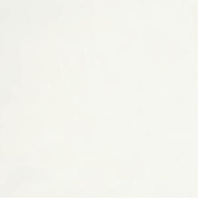 Westinghouse Lighting 7725400 Ceiling Fan Down Rod 24 Inch White/Satin White Finish (Pack of 2)