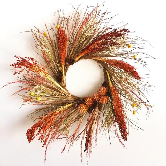 TomorrowSeeds - Red Broom Corn Seeds - 375+ Count - for 2026 Planting Sorghum Bicolor Mixed Millet Giant Fall Decoration Flower Grain Tassel Grow Your Own Home Farm Patio Healthy Sustainable Living