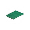 Scrubber Sponge, 9"L, 6"W, Nylon, Grn, PK15