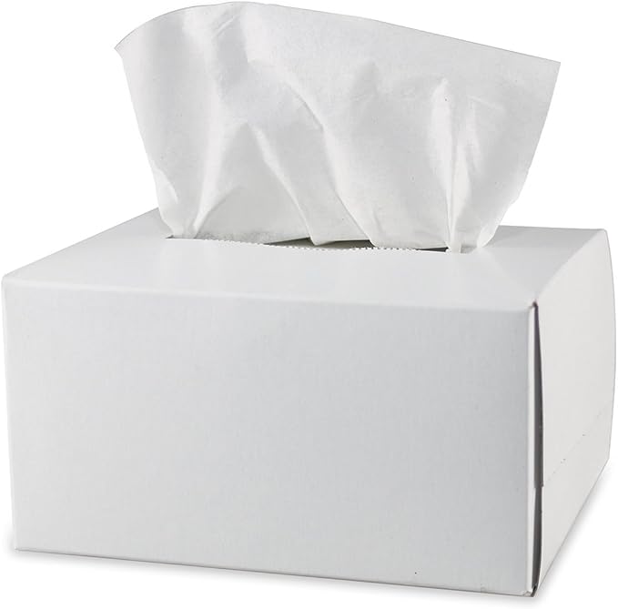 Pyramex Safety Products LT300 Lens Cleaning Tissues, Package of 300 White
