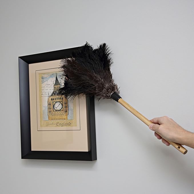 Boardwalk BWK20BK 10 in. Handle Professional Ostrich Feather Duster