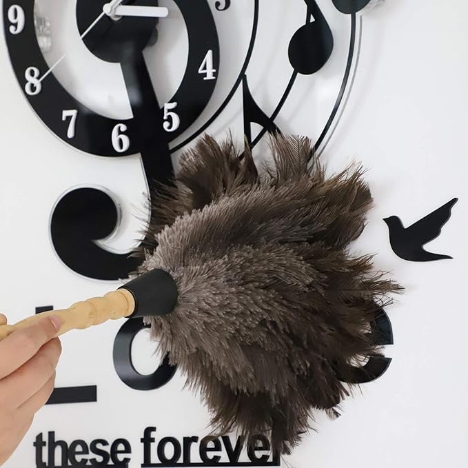 Natural Gray Ostrich Feather Duster,2 Packs,Car Duster Interior/Exterior Cleaner, Cleaning for Blinds Kitchen Keyboard Office, Smart and Soft and Fluffy (Gray)