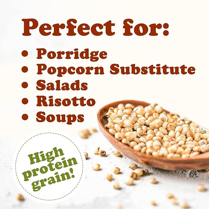 Food to Live Organic Italian White Whole Grain Sorghum, 25 Pounds – Non-GMO White Groats. Raw Milo Seeds. Vegan, Bulk Broom-corn. Durra is Great for Making Flour and Popped Jowar Dhani
