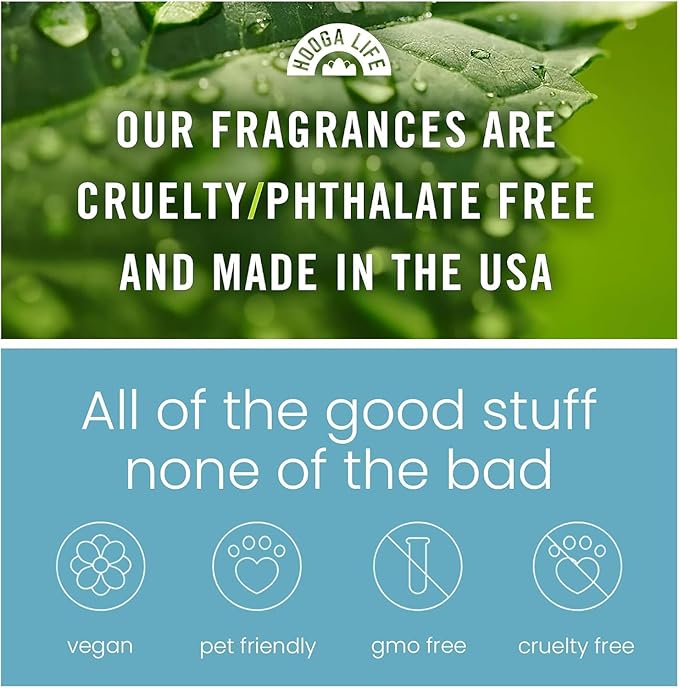 HoogaLife Car Air Freshener Diffuser 2 Pack Hanging Air Freshener Diffuser - Pink Sparkle Champagne Fragrance Oil Air Diffuse r for Car, 45+ Days Long Lasting Fragrance Made in USA (P38)