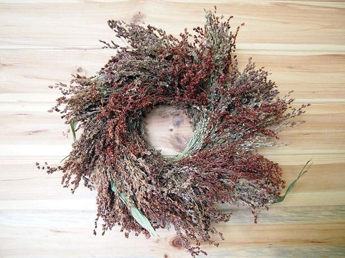 Multi-Colored Broom Corn Seeds - High yields of Beautiful Straw Very Beautiful(25 - Seeds)