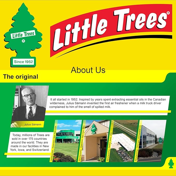 Little Trees Car Air Freshener | Hanging Paper Tree for Home or Car | Rose Thorn | 6 Pack
