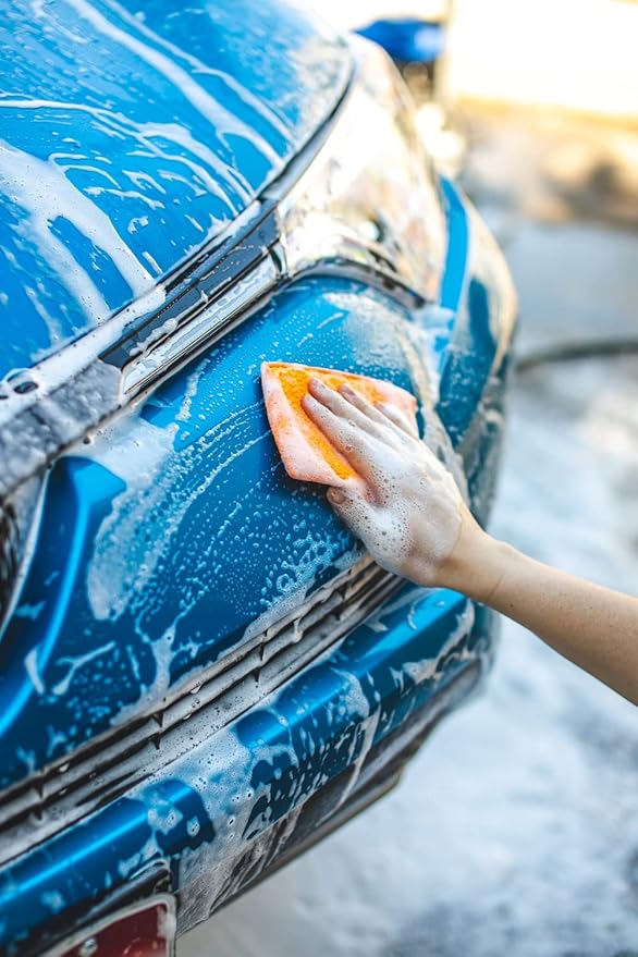 The Rag Company - Jersey Bug Scrubber Pads - Terry Weave, Easily and Safely Trap Bug Splatter in Sponge, Safe on All Finishes, 4in x 6in, Blue (5-Pack)
