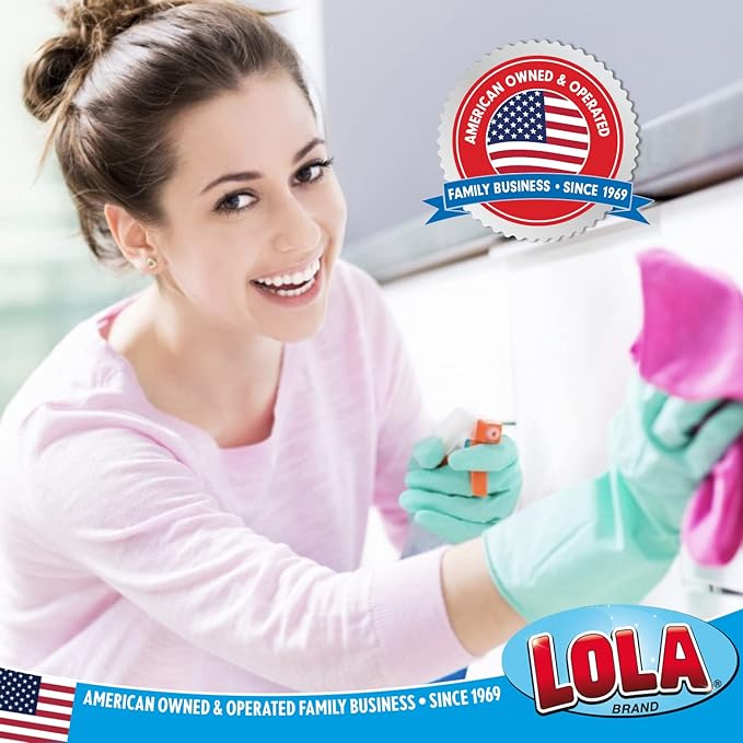 LOLA Microfiber & Nylon Net Sponges, 4 Pack, 2 Dual Sided Non Scratch Sponge Pads & 2 w/Microfiber Cloth One Side and Netting on the Other Side