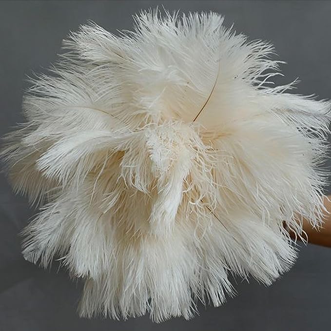 Ostrich Feather Dusters, Naturally Soft, Easy to Dust, Multi-Purpose Use, Solid Wood Handle, 17.3'' Long, White