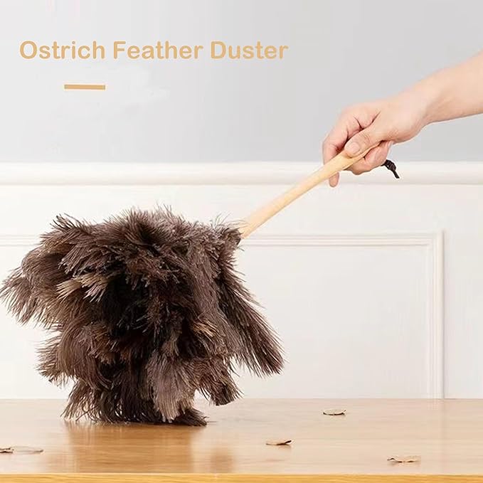 Ostrich Feather Dusters, Naturally Soft, Easy to Dust, Multi-Purpose Use, Solid Wood Handle, 17.3'' Long, Gray