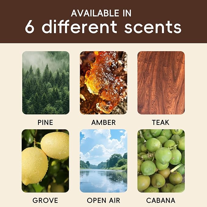 Car Air Freshener Natural Essential Oil Scent, Odor Eliminator and Purifier, Vent Clip Air Freshener for Car (Starter/Pine)