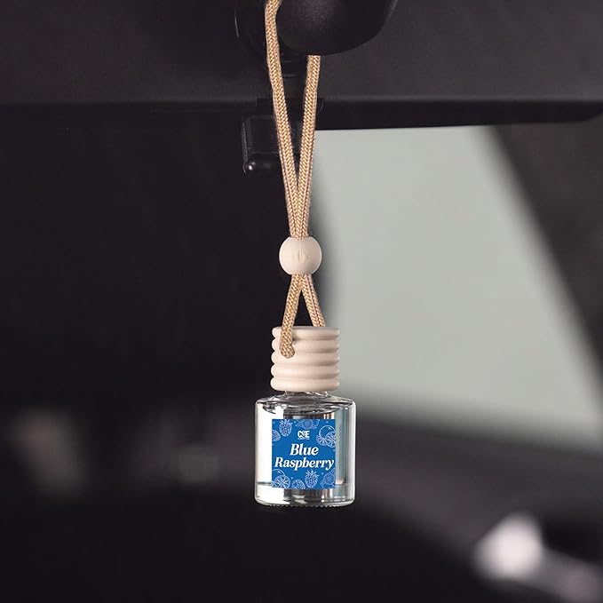 CANDECraftCo Car Air Hanging Fragrance Oil, Car Auto Freshener for Essential Oils, Scents Fragrance Aromatherapy Automobile Diffuser, Long Lasting (Blue Raspberry)