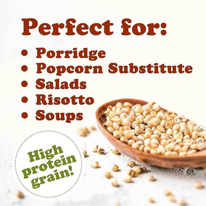 Food to Live Organic Italian White Whole Grain Sorghum, 3 Pounds – Non-GMO White Groats. Raw Milo Seeds. Vegan, Bulk Broom-corn. Durra is Great for Making Flour and Popped Jowar Dhani