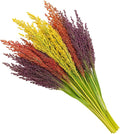 100+ Broom Corn Seeds Mix – Heirloom Sorghum Seeds, Multi-Color Tassel Heads (Red, Gold, Green, Burgundy, Brown) – Decorative Fall Straw, Crafts & Floral Arrangements – Easy to Grow Garden Seeds