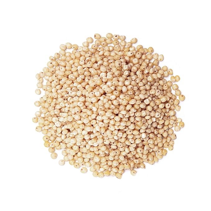 Food to Live Organic Italian White Whole Grain Sorghum, 10 Pounds — Non-GMO White Groats. Raw Milo Seeds. Vegan, Bulk Broom-corn. Durra is Great for Making Flour and Popped Jowar Dhani