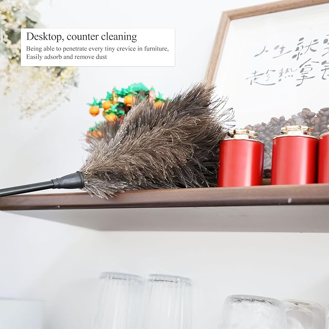 Ostrich Feather Duster 15Inch Natural Fluffy Handheld Feather Dusters for Cleaning Keyboard Home Car Office (5PCS)
