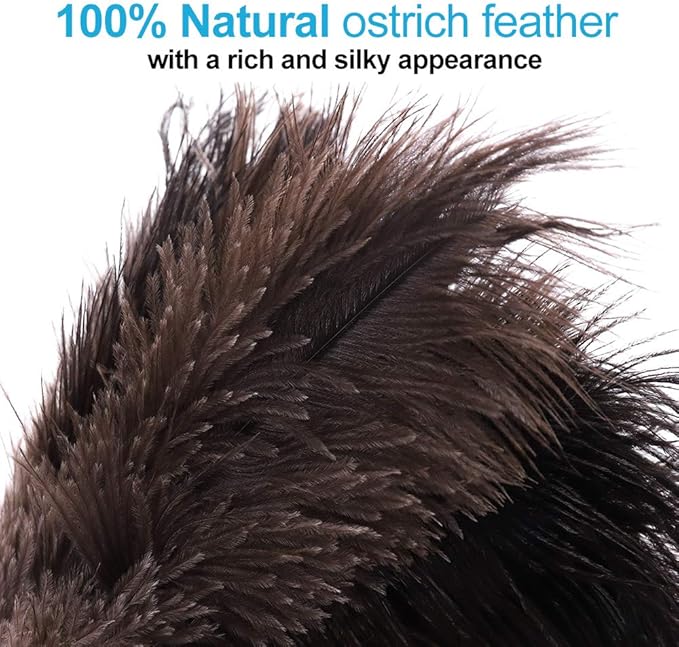 Natural Black Ostrich Feather Duster,2 Packs,Car Duster Interior/Exterior Cleaner, Cleaning for Blinds Kitchen Keyboard Office, Smart and Soft and Fluffy (Black)