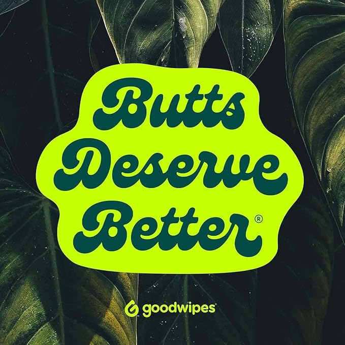 goodwipes Flushable Wipes - Extra Large Adult Wet Wipes For Women & Men - Bathroom Essentials - Sewer & Septic Safe - Variety Pack, 240 Count (4 Packs)