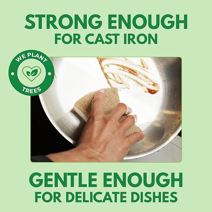 Natural Kitchen Sponges (24 Pack) - Biodegradable Cellulose & Coconut Scrubber Dish Sponge for Kitchen - Eco-Friendly, Non Scratch, Compostable, Non Toxic Natural Sponges for Dishes